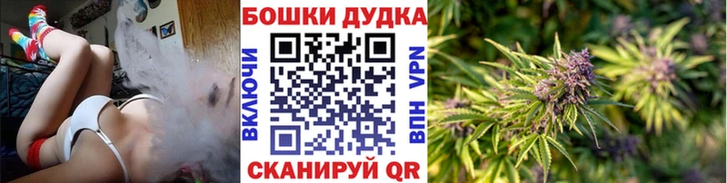 OMG ТОР  Арсеньев  Каннабис план 